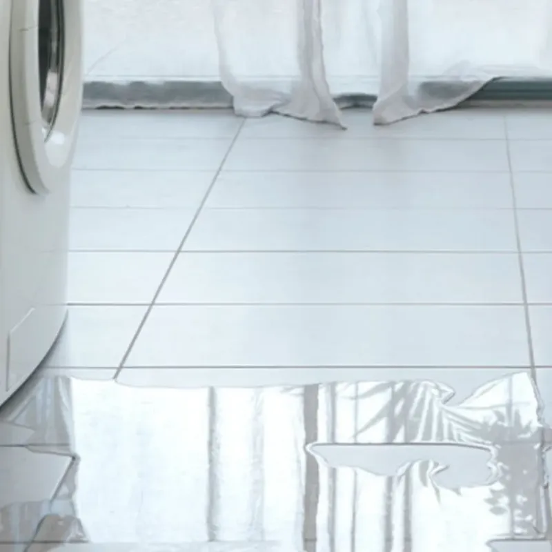 Appliance Leak Cleanup in Lodi, CA